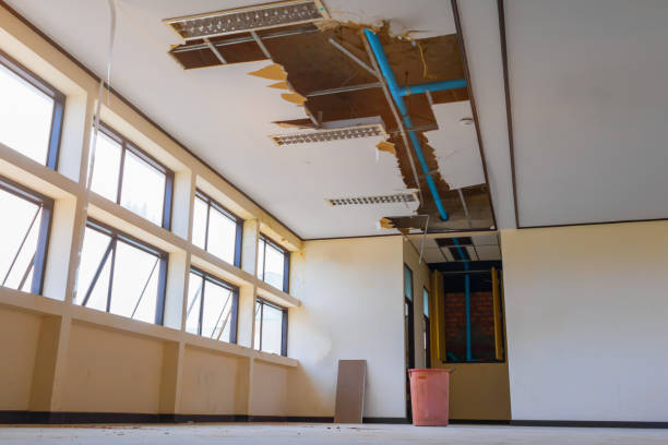 Best Local water damage restoration  in Colonia, NJ