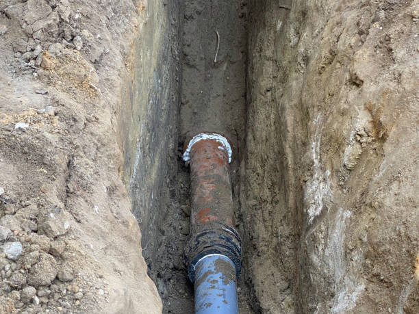 Best 24/7 water damage repair  in Colonia, NJ