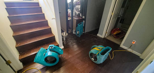 Best Water damage restoration company  in Colonia, NJ