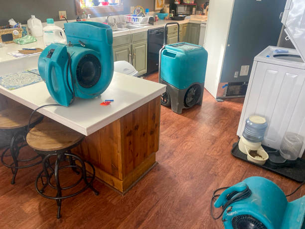 Best Commercial water damage restoration  in Colonia, NJ