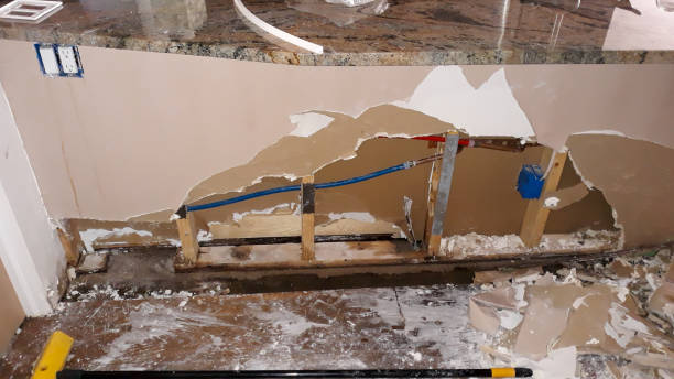 Best Mold removal after water damage  in Colonia, NJ