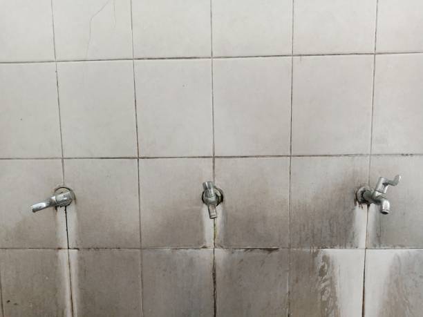 Best Flood restoration services  in Colonia, NJ