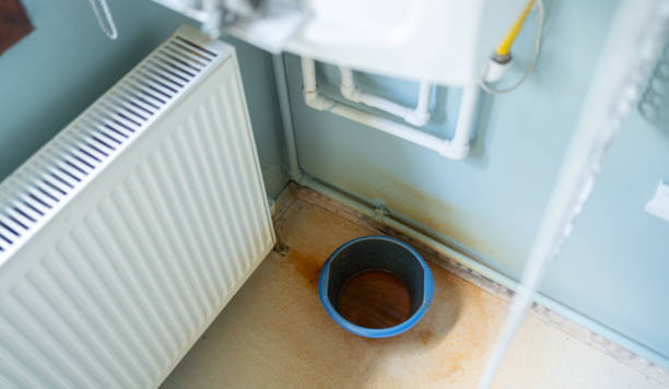 Best Water damage restoration mold remediation  in Colonia, NJ