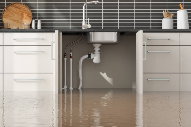 Best Residential water damage restoration  in Colonia, NJ