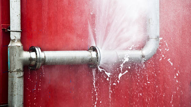Best Basement water damage restoration  in Colonia, NJ